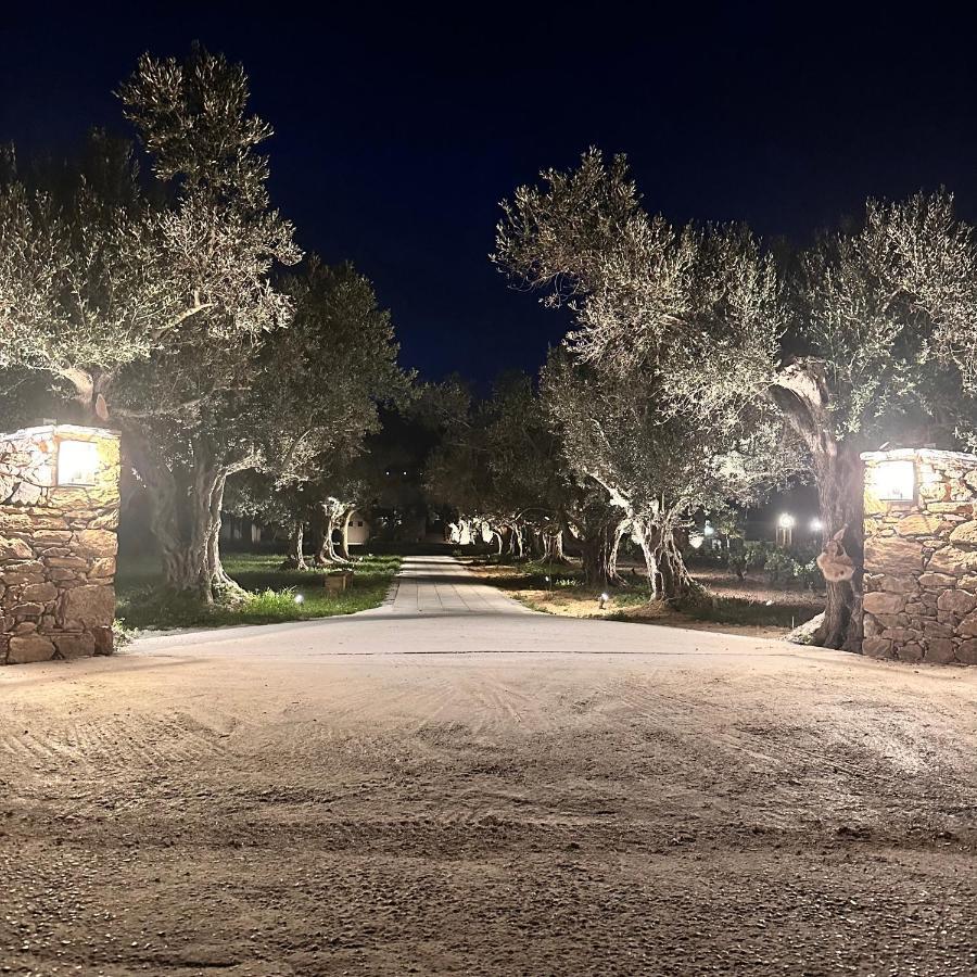 Peristerionas Estate Διαμέρισμα Κάρυστος Εξωτερικό φωτογραφία
