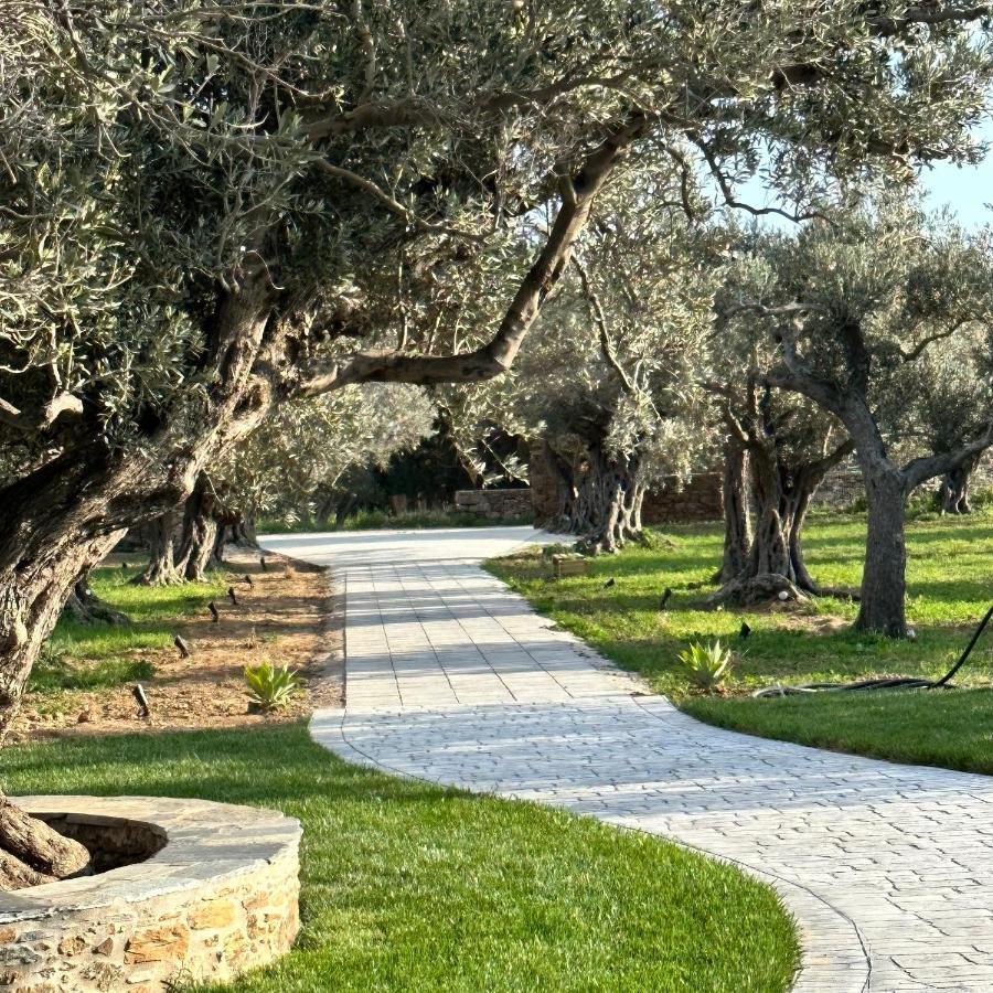 Peristerionas Estate Διαμέρισμα Κάρυστος Εξωτερικό φωτογραφία