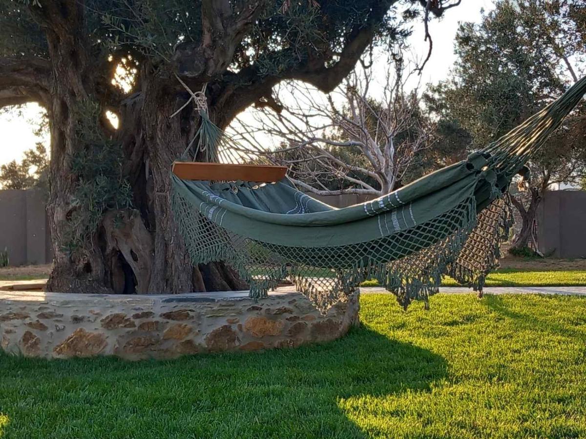 Peristerionas Estate Διαμέρισμα Κάρυστος Εξωτερικό φωτογραφία