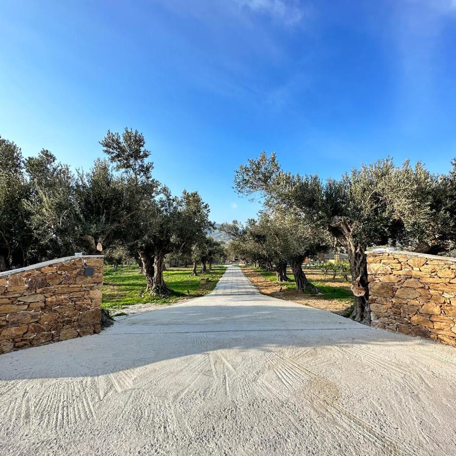 Peristerionas Estate Διαμέρισμα Κάρυστος Εξωτερικό φωτογραφία