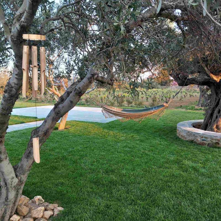 Peristerionas Estate Διαμέρισμα Κάρυστος Εξωτερικό φωτογραφία